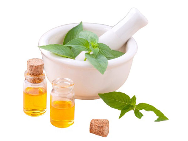 Massage Oil